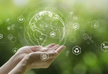 The Rise of Strategic Sustainability Consulting Firms in Australia: Why It’s No Longer Just About the Environment