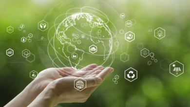 The Rise of Strategic Sustainability Consulting Firms in Australia: Why It’s No Longer Just About the Environment
