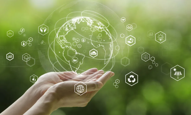 The Rise of Strategic Sustainability Consulting Firms in Australia: Why It’s No Longer Just About the Environment