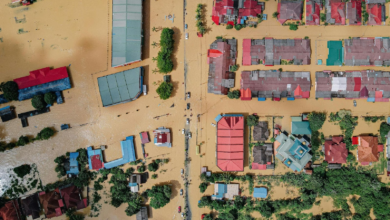Climate-Proof Real Estate: How Weather Patterns Are Reshaping Property Investment Decisions