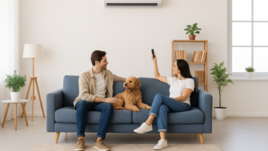 In modern cities, air conditioning plays a critical role in ensuring comfort. Regular care and maintenance of these systems are necessary