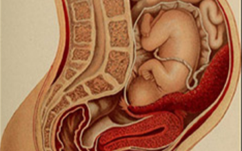 Does Anterior Placenta Change Normal Delivery In India?